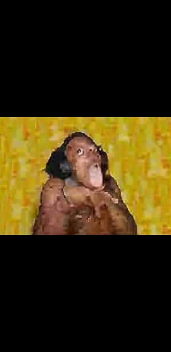 Duhfortniteli's tweet photo. @The_fiction_man @MrMammothPistol @soxsswg As if you do anything better 🤦‍♂️ https://t.co/wsd5q8TYcG