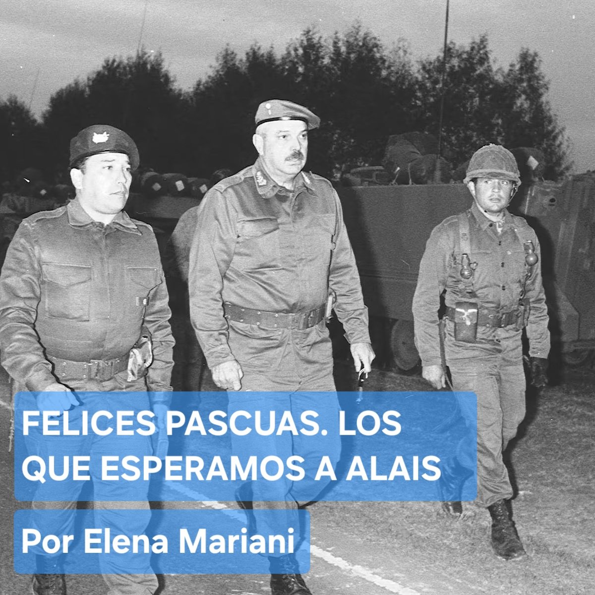 Panamá Revista tweet media