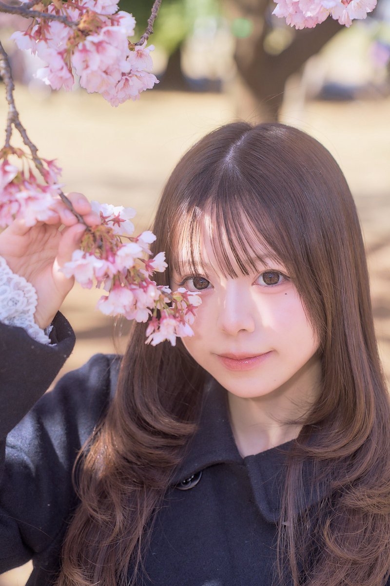 広崎乃暖 tweet media