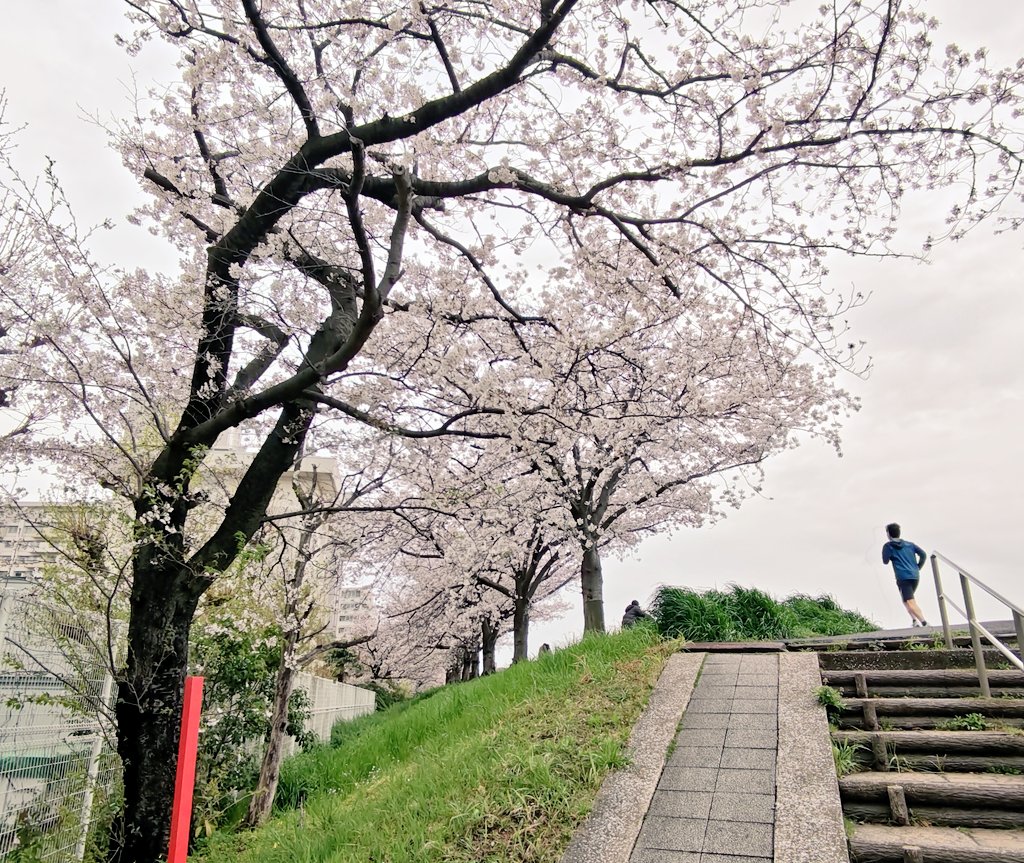 フムトアンデル tweet media