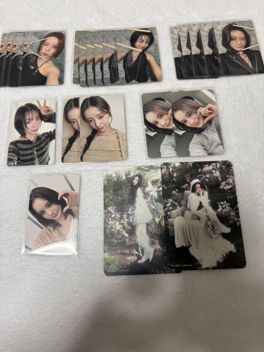 きくちゃん tweet media