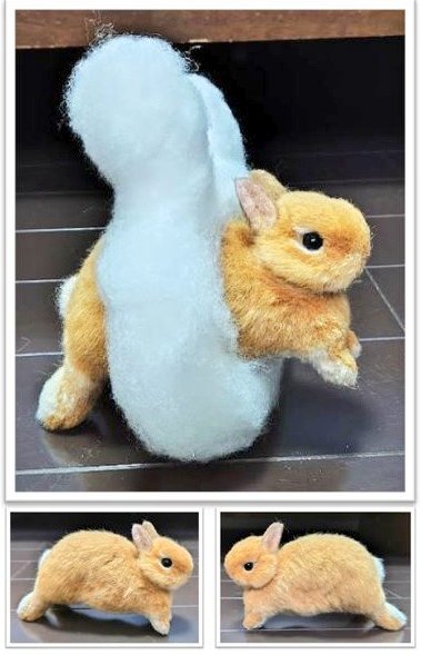 ケンタロウ tweet media