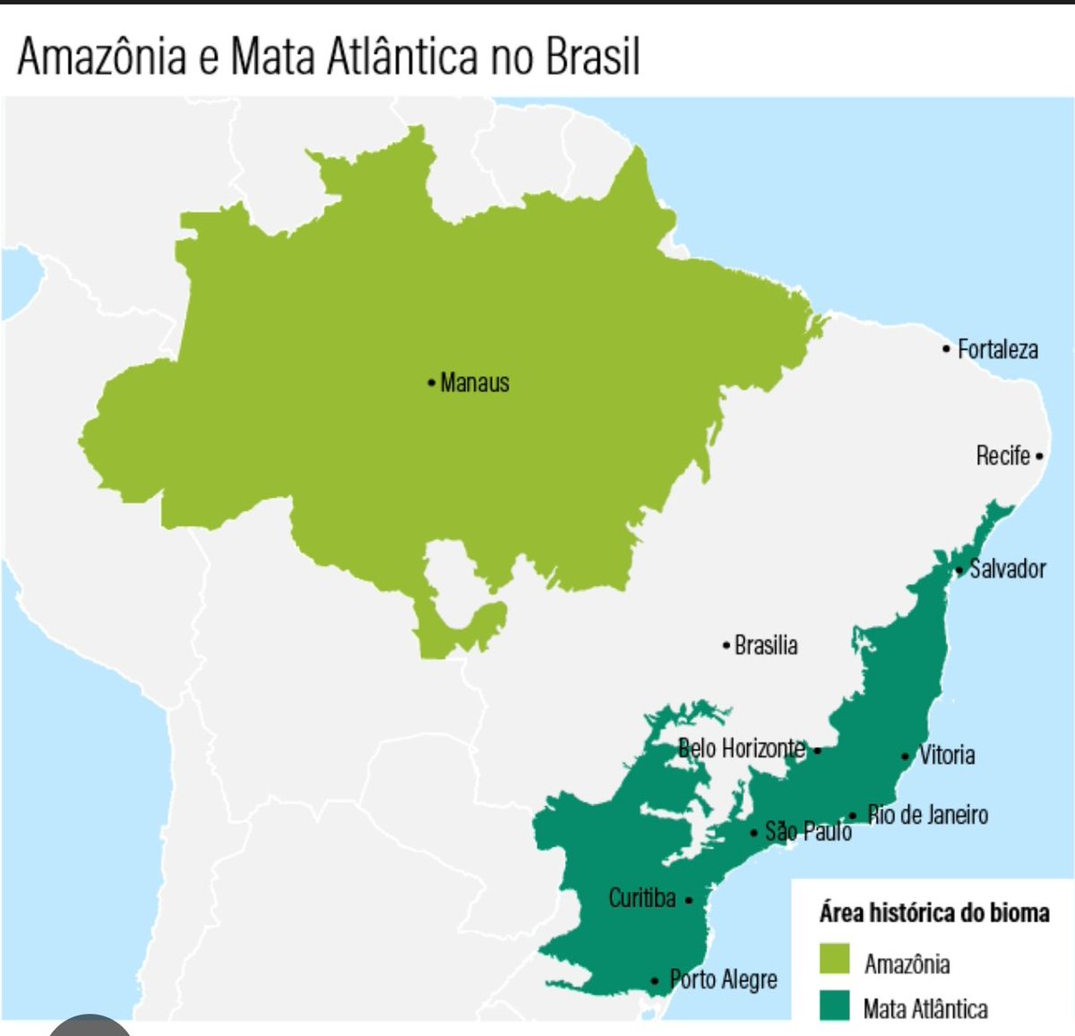 italu 🥑 tweet media