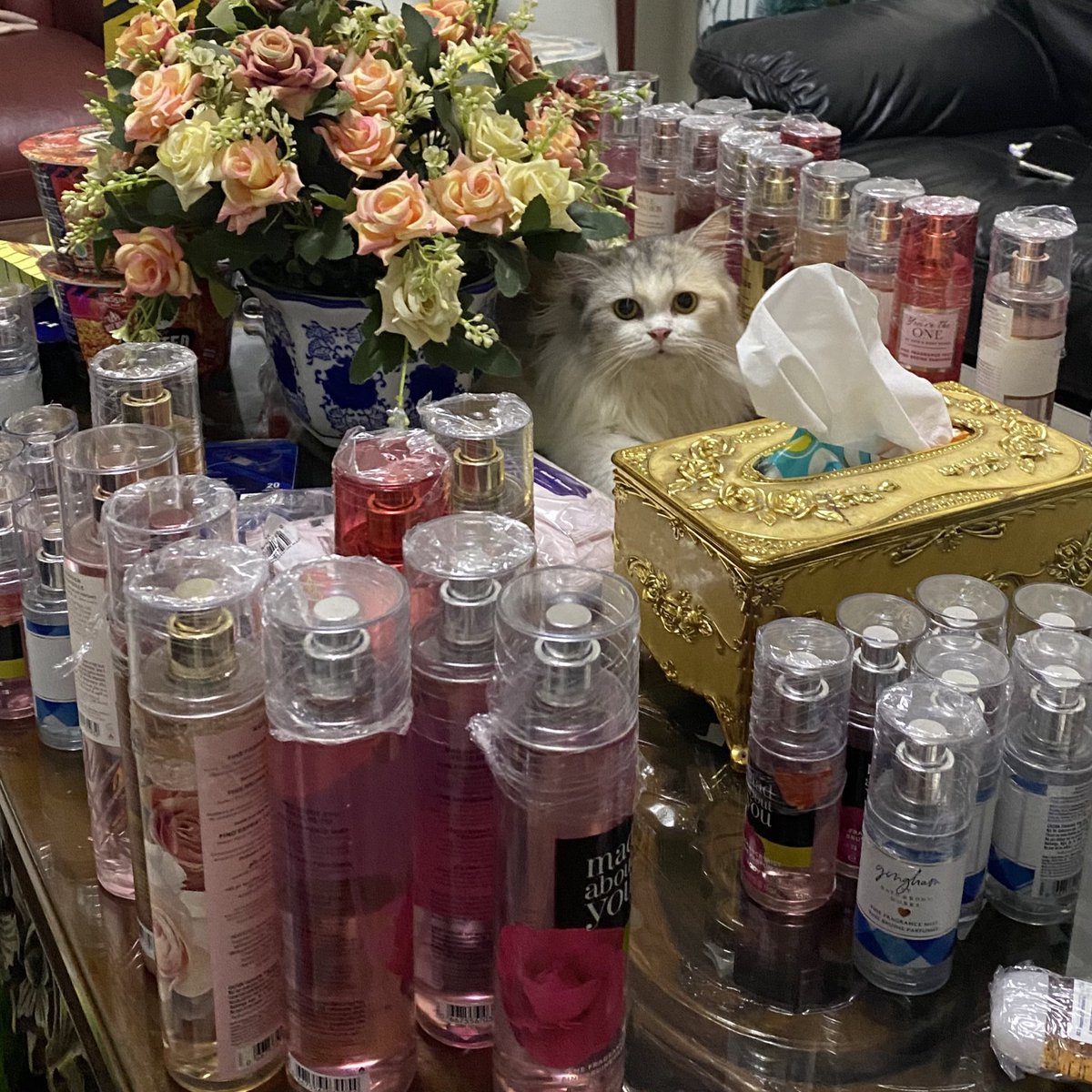 may🐯🦊 | HC Singapore Malaysia tweet media