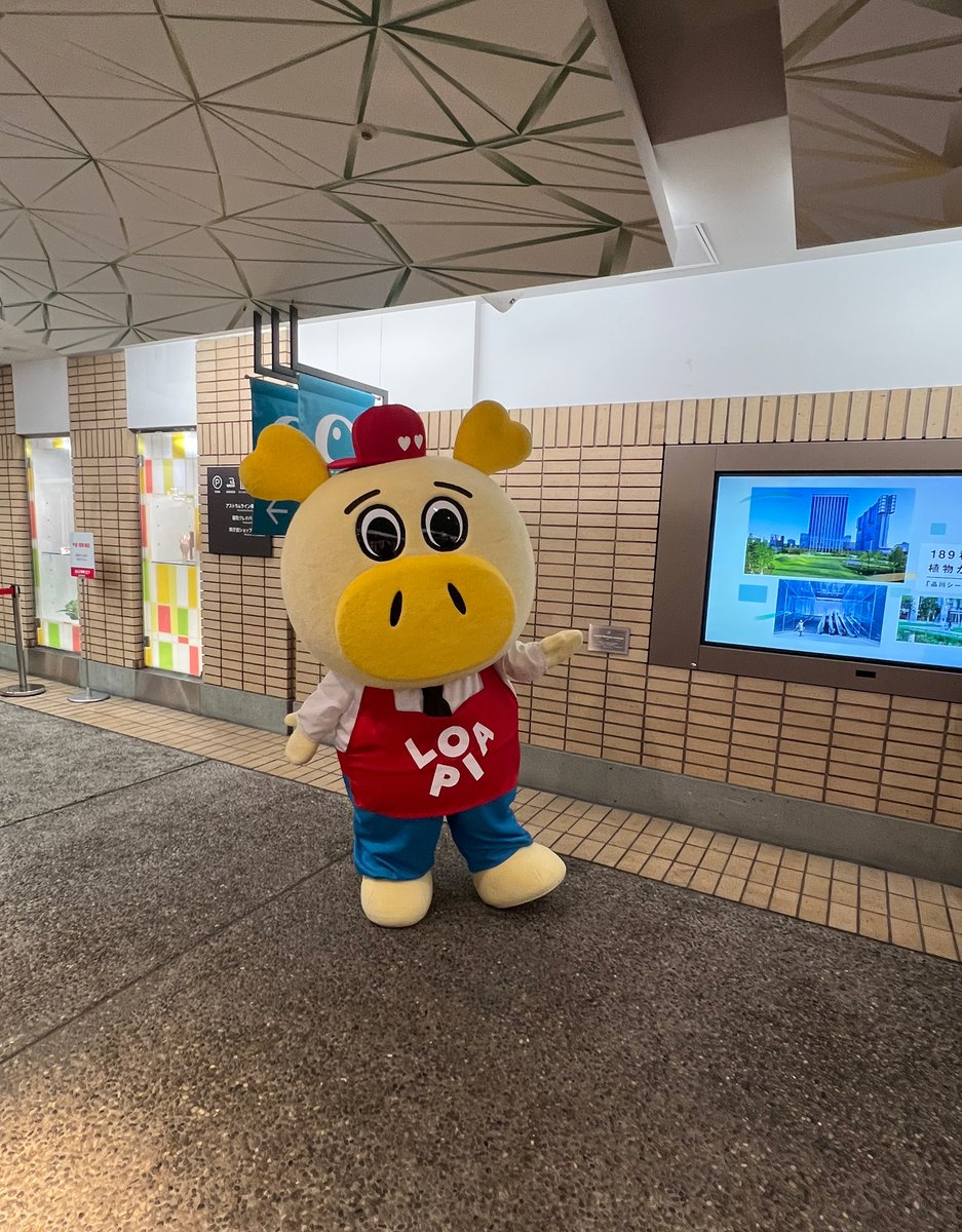 せともの tweet media