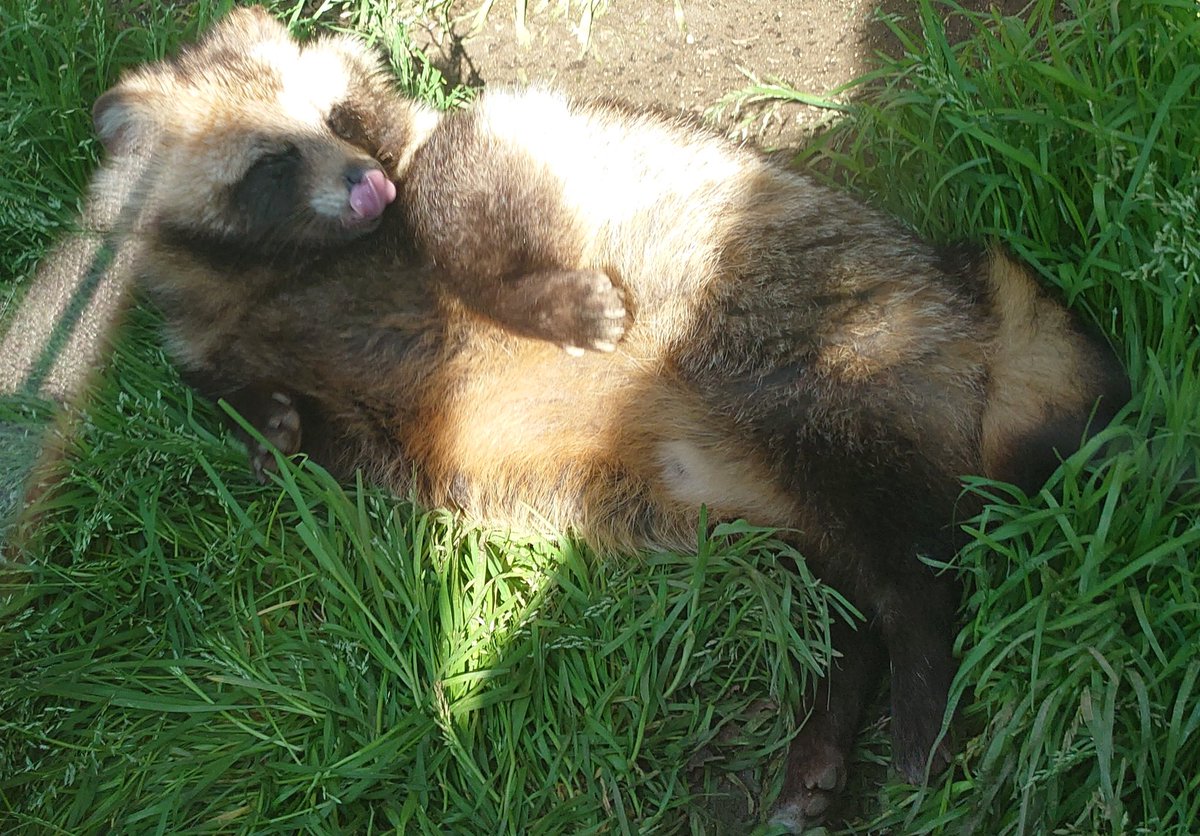 長槻望@かちかち山 tweet media