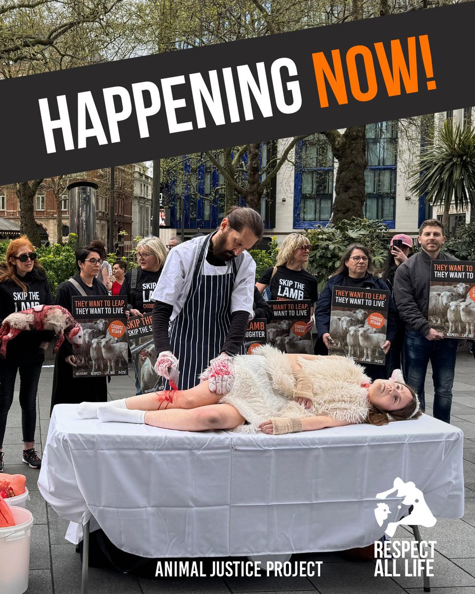 AnimalJusticeProject tweet media