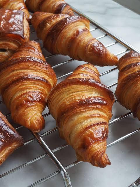 miL 🐣🐾🥕 tweet media