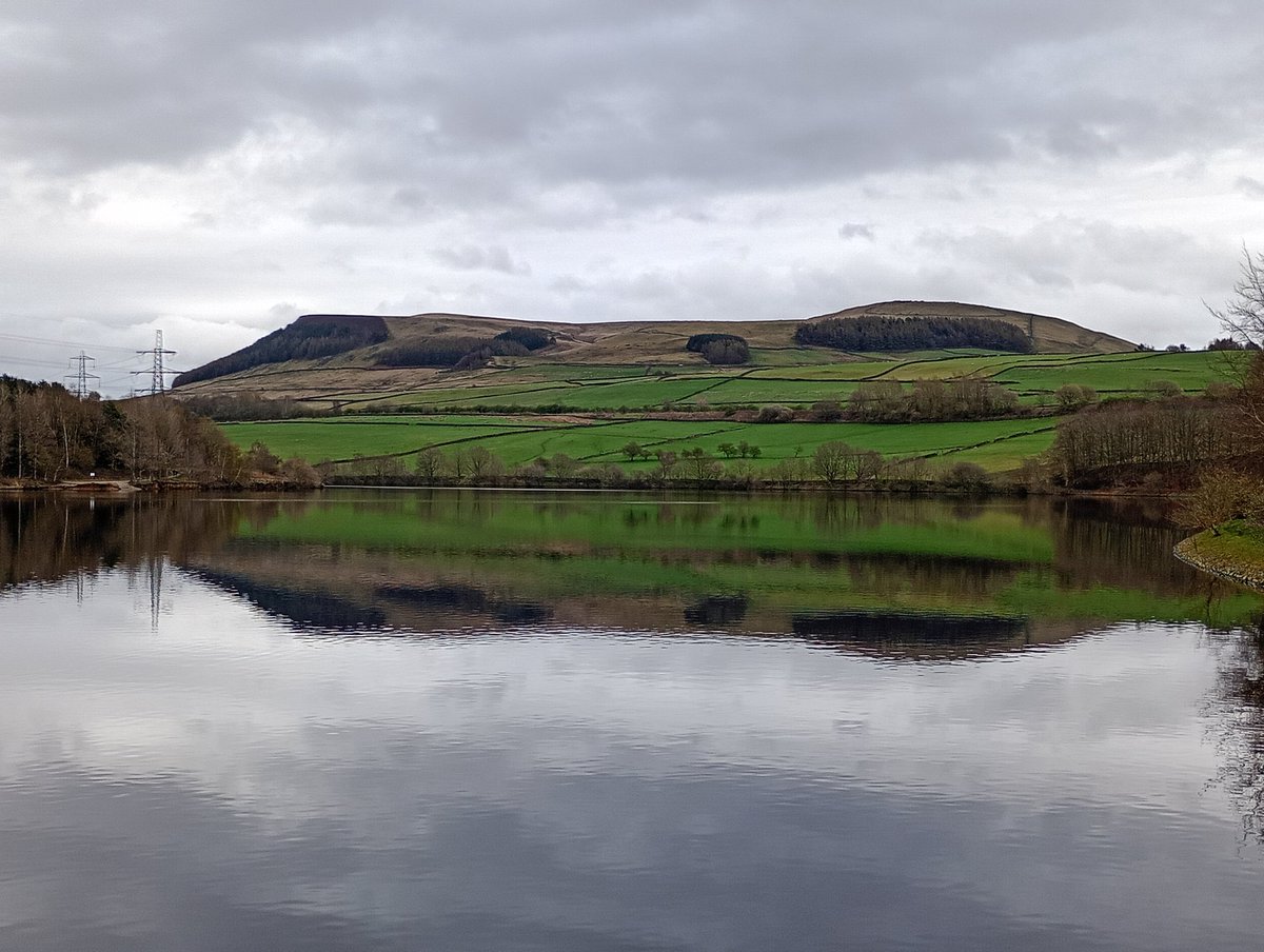 Dr Janet Lees tweet media