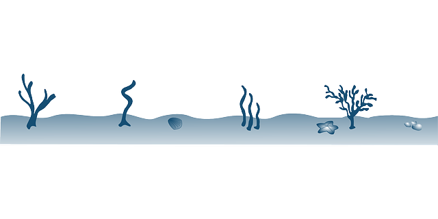 Victoria Natalie tweet media