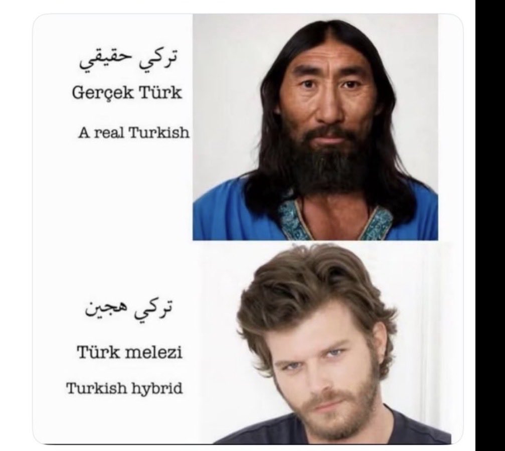 ZagrosMan tweet media