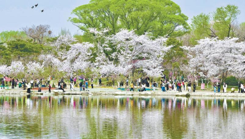 touch_beijing's tweet photo. Beijing will launch more than 400 #springouting and #flowerviewing related #consumption promotion events this month.
The city’s districts will integrate culture, business, tourism, sports, and #exhibitions with #retail promotions and immersive experiences to promote consumption. https://t.co/T6pmMyhjHa