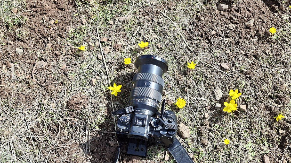 Caner Canerik tweet media