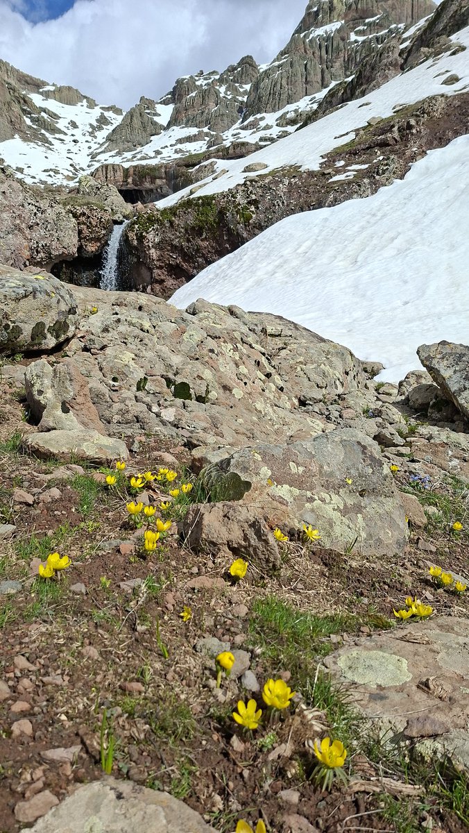 Caner Canerik tweet media