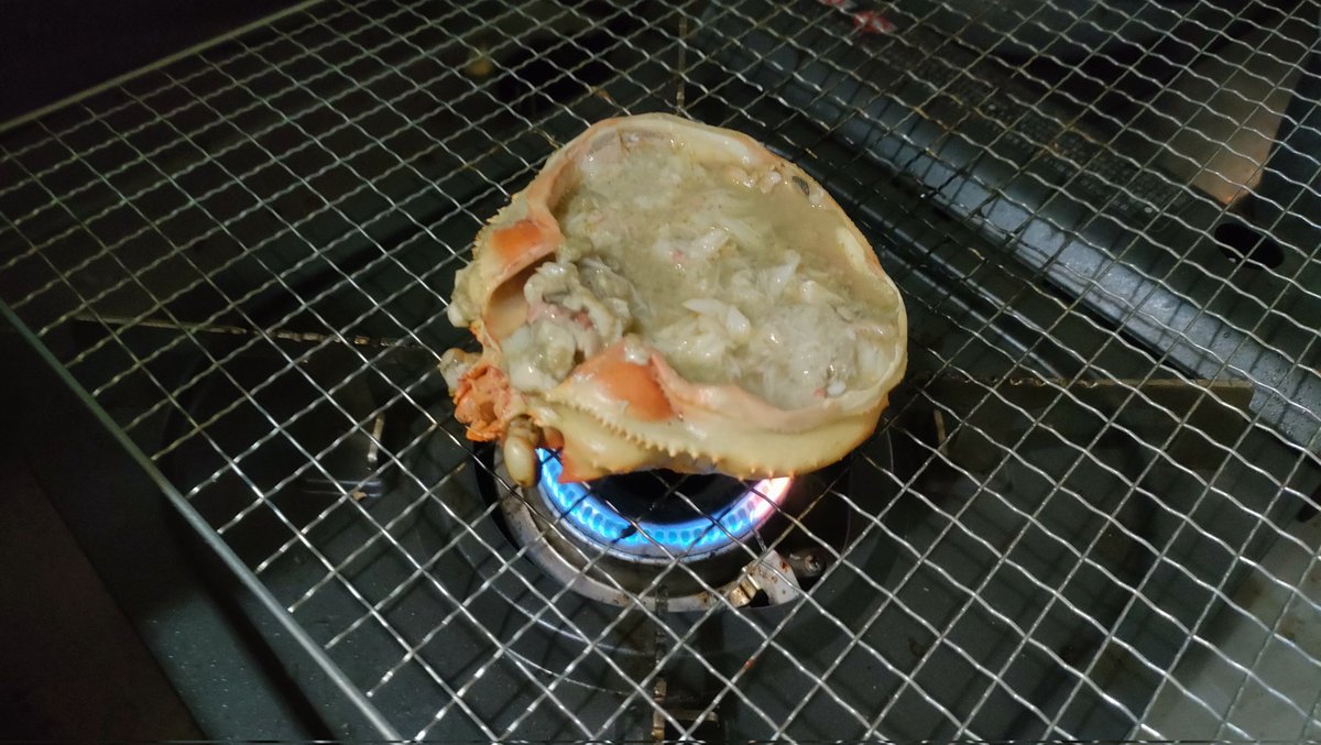 ゆみたん＠ベアボウ上手くなりたい tweet media