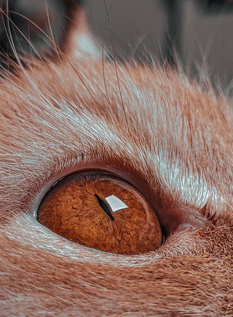 Jamie Smith tweet media