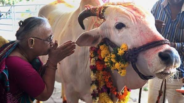 عبدالوهاب بن محمد القحطاني tweet media