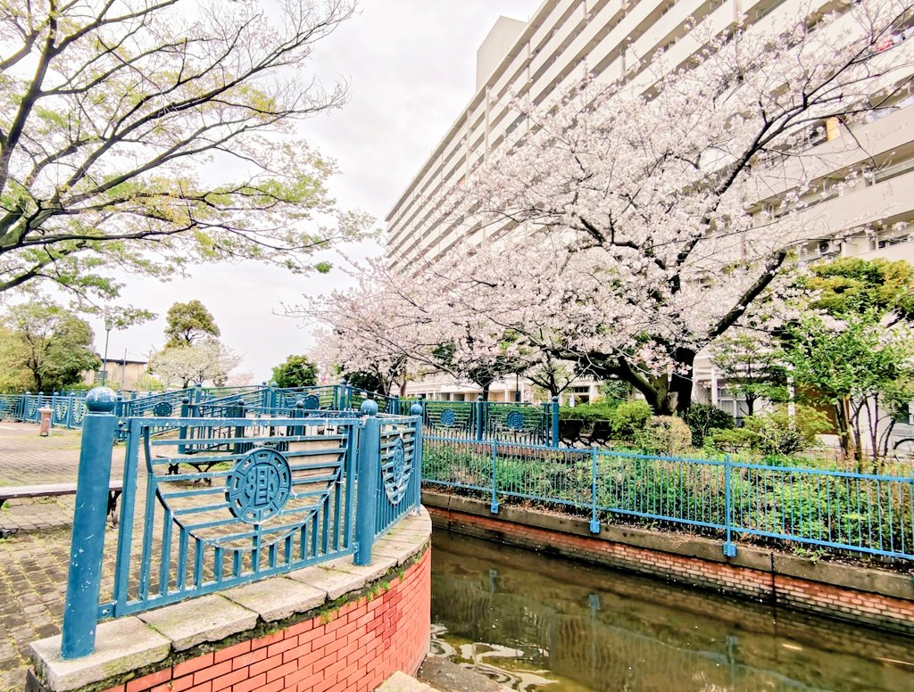 フムトアンデル tweet media