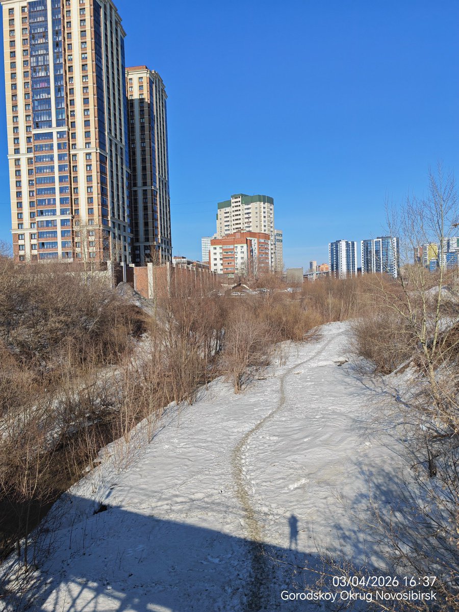 Виктор tweet media