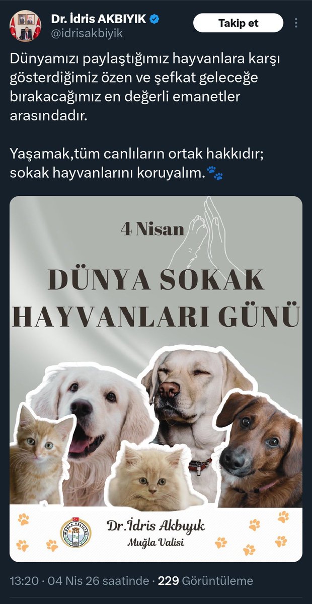 Koçovalı tweet media