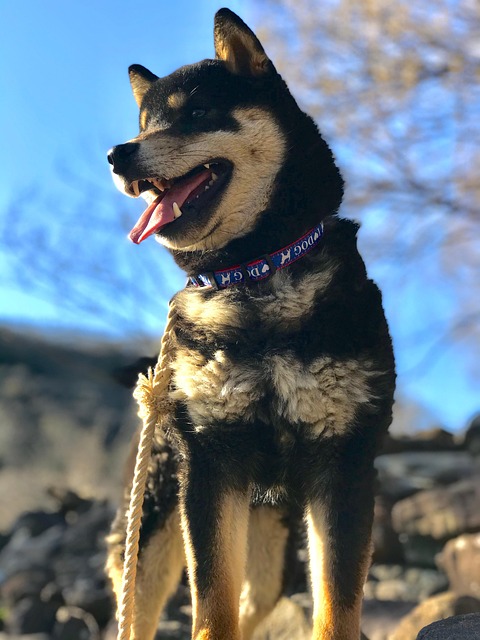 Art Nahajski tweet media