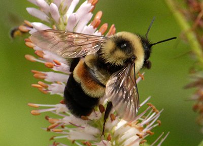 Give A Shit About Nature tweet media
