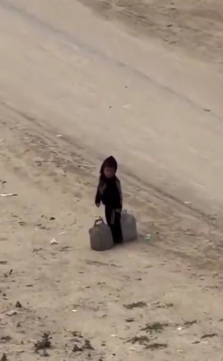 The Gaza Kid tweet media