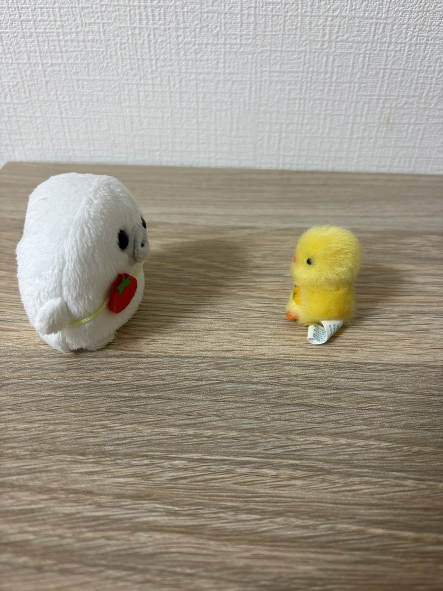 ロンちゃん tweet media