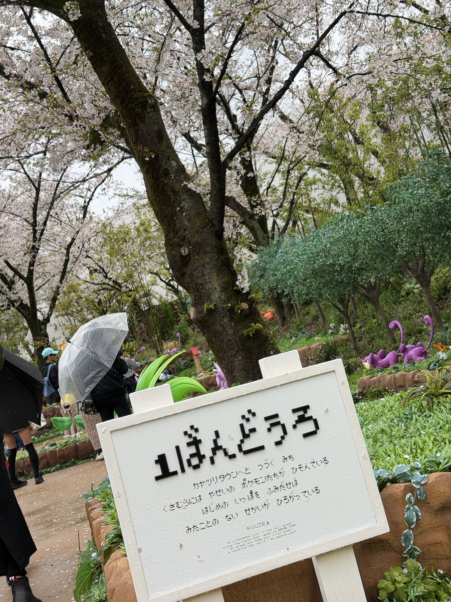 もふ汰🐿️🌼 tweet media