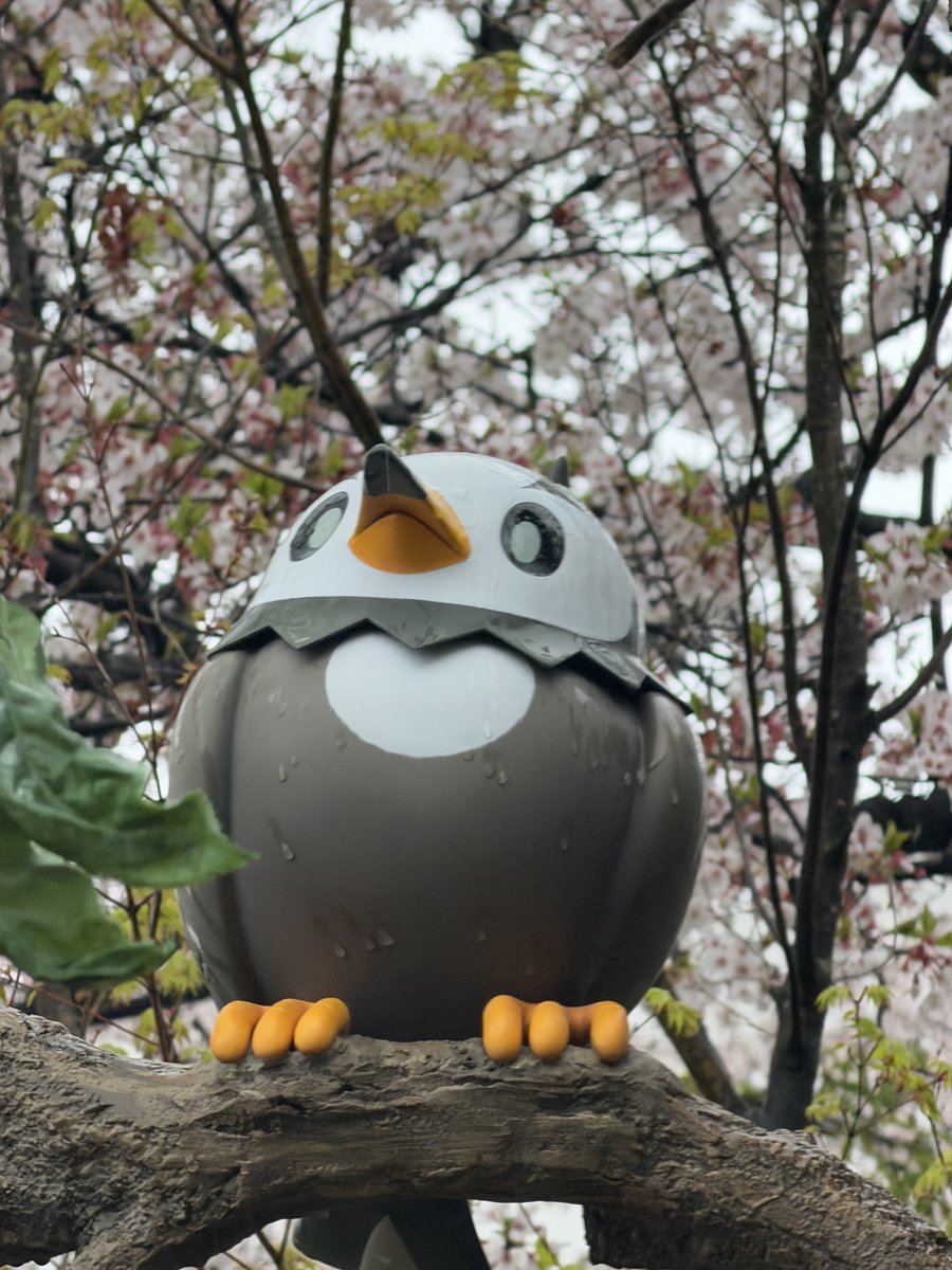 もふ汰🐿️🌼 tweet media