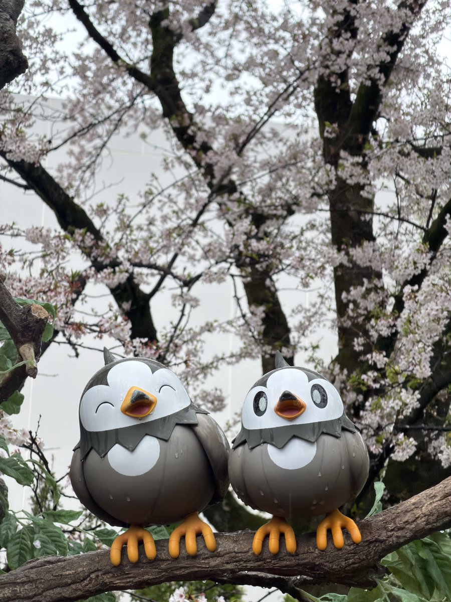 もふ汰🐿️🌼 tweet media