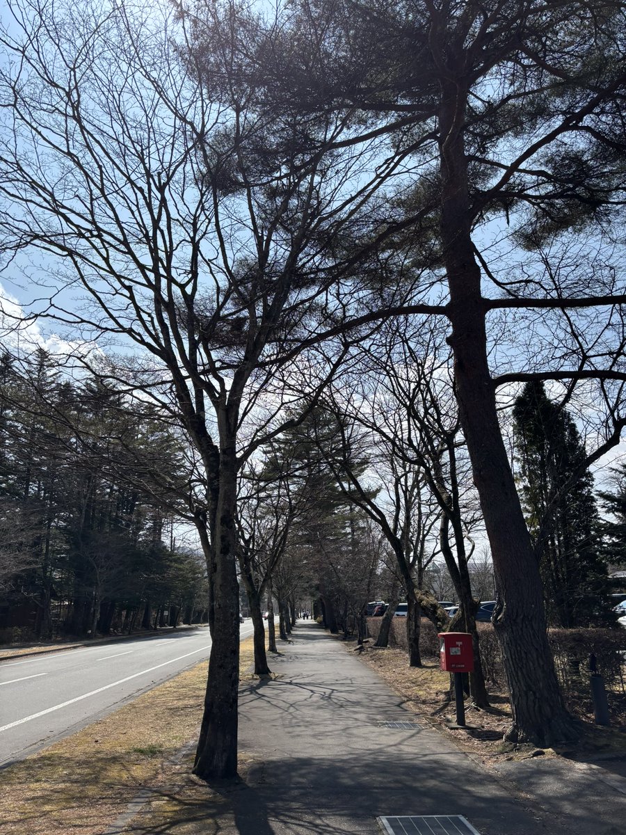 k00__12's tweet photo. 軽井沢🌲 https://t.co/IUl79w2QIE