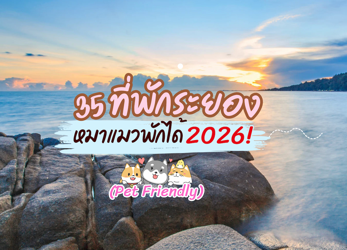 bbberrynet's tweet image. 🐾 ระยองมีที่พักหมาพักได้เยอะกว่าที่คิด! 🌊
รวมมาให้แล้ว 35 ที่ “ติดทะเลจริง” บางที่มีพูลวิลล่า + หมาใหญ่เข้าได้ 🐕
👉 ดูครบ + เช็คราคา: dogthailand.net/thread-67256-1…
📌 เซฟไว้ก่อน เที่ยวได้ยาว ๆ
#ที่พักหมาพักได้ #ระยอง #PetFriendly #หมาใหญ่พักได้ #พาหมาเที่ยว