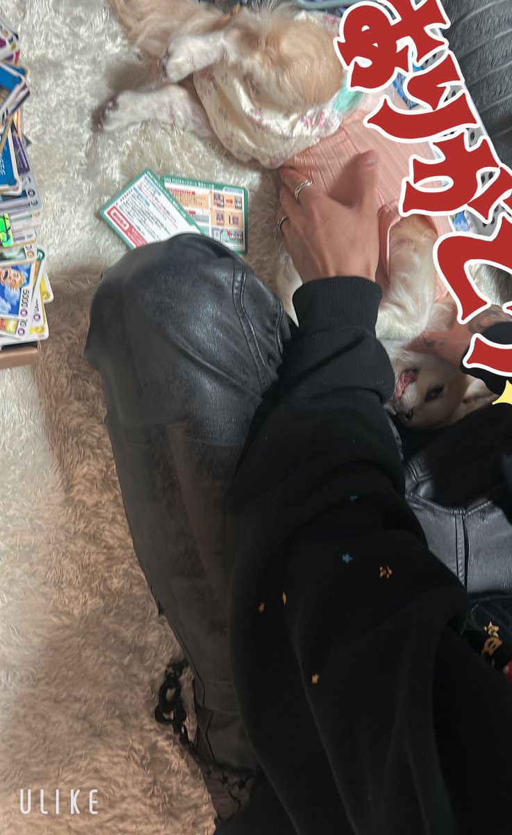 mana deco 🐝 tweet media