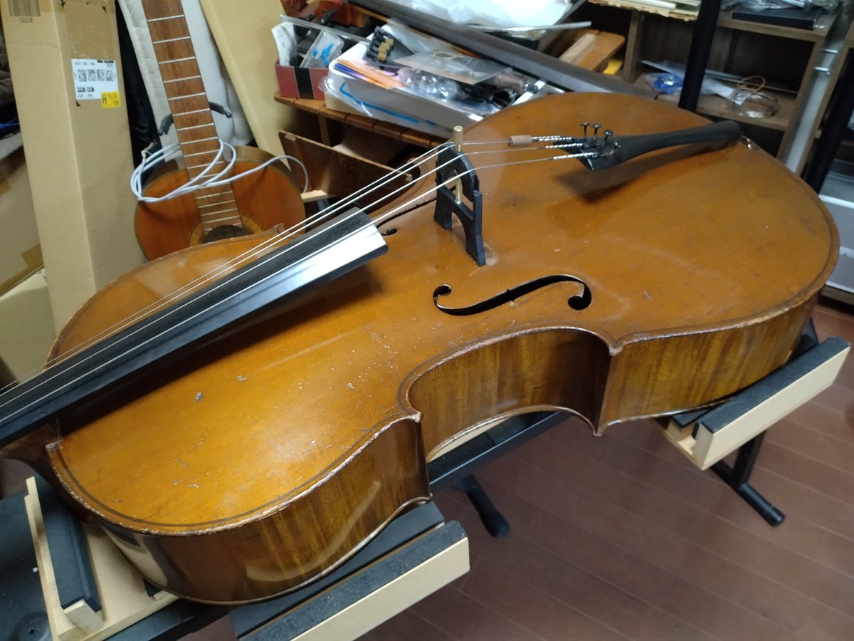 michi-cello tweet media