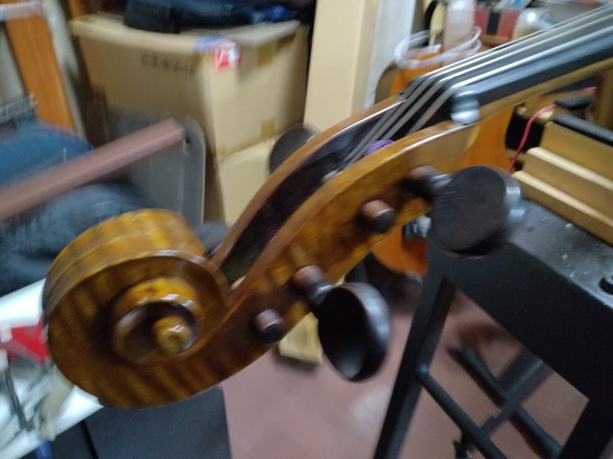 michi-cello tweet media