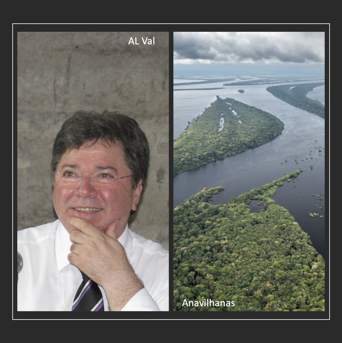 Adalberto Luis Val tweet media