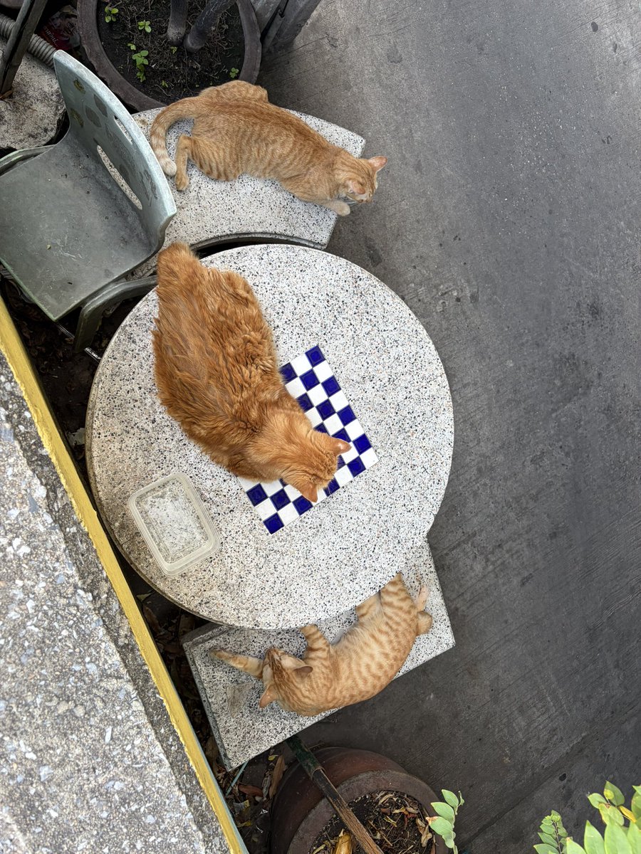 anness 🧷 tweet media