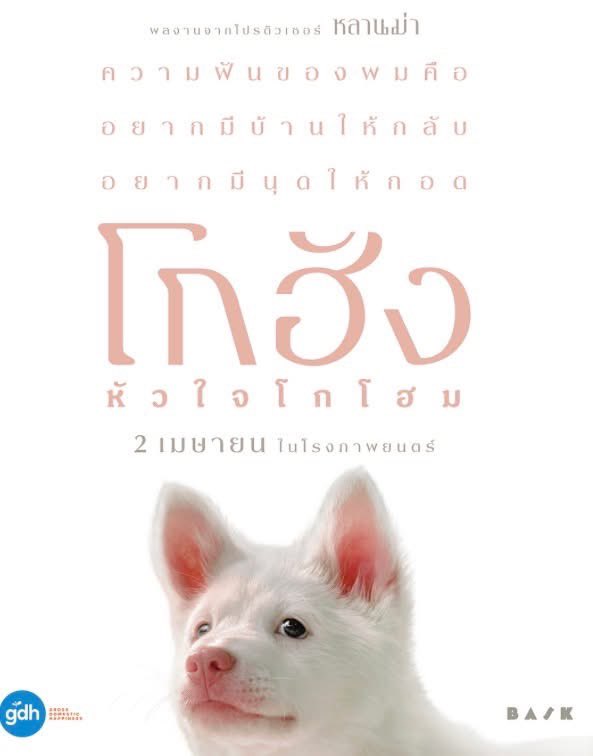 ✨ アベさん 🇹🇭 tweet media