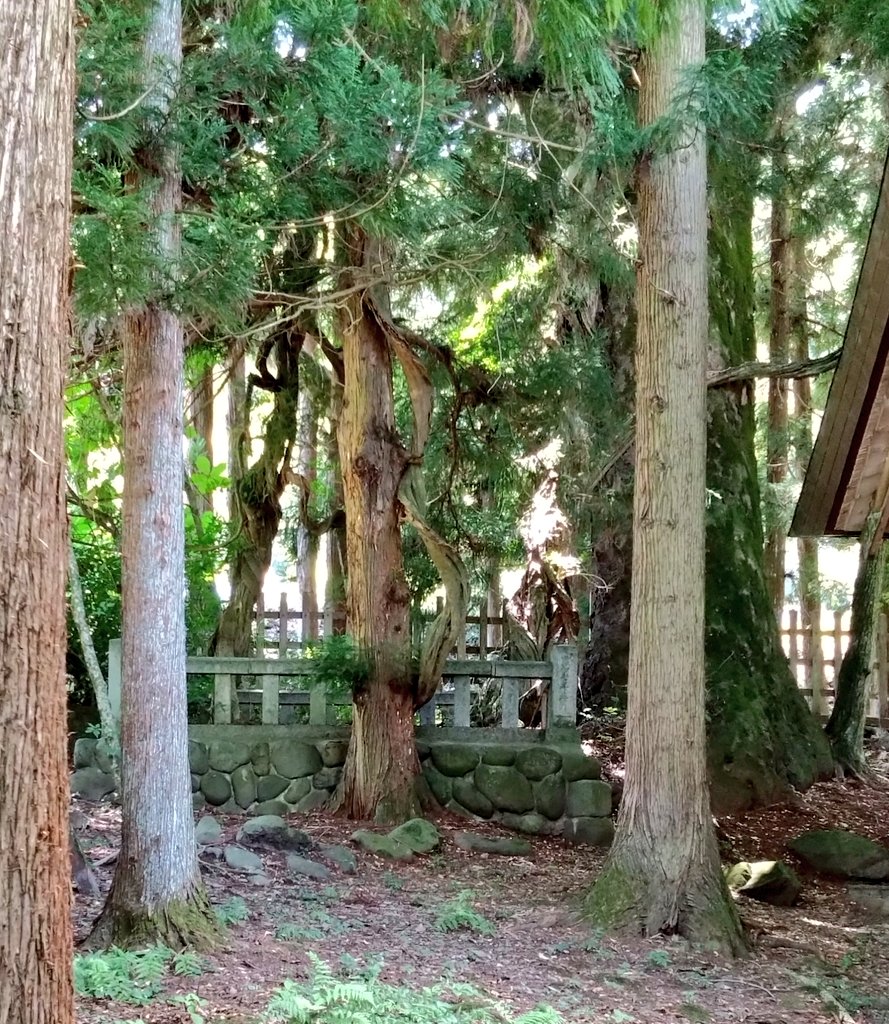 パト@春例と27a tweet media