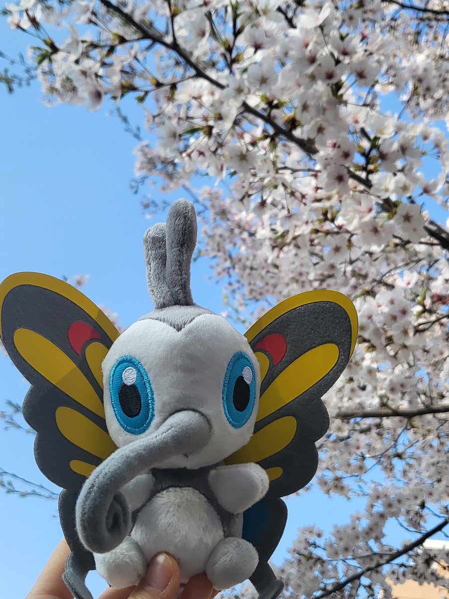 #포켓몬의_트레이너_산책