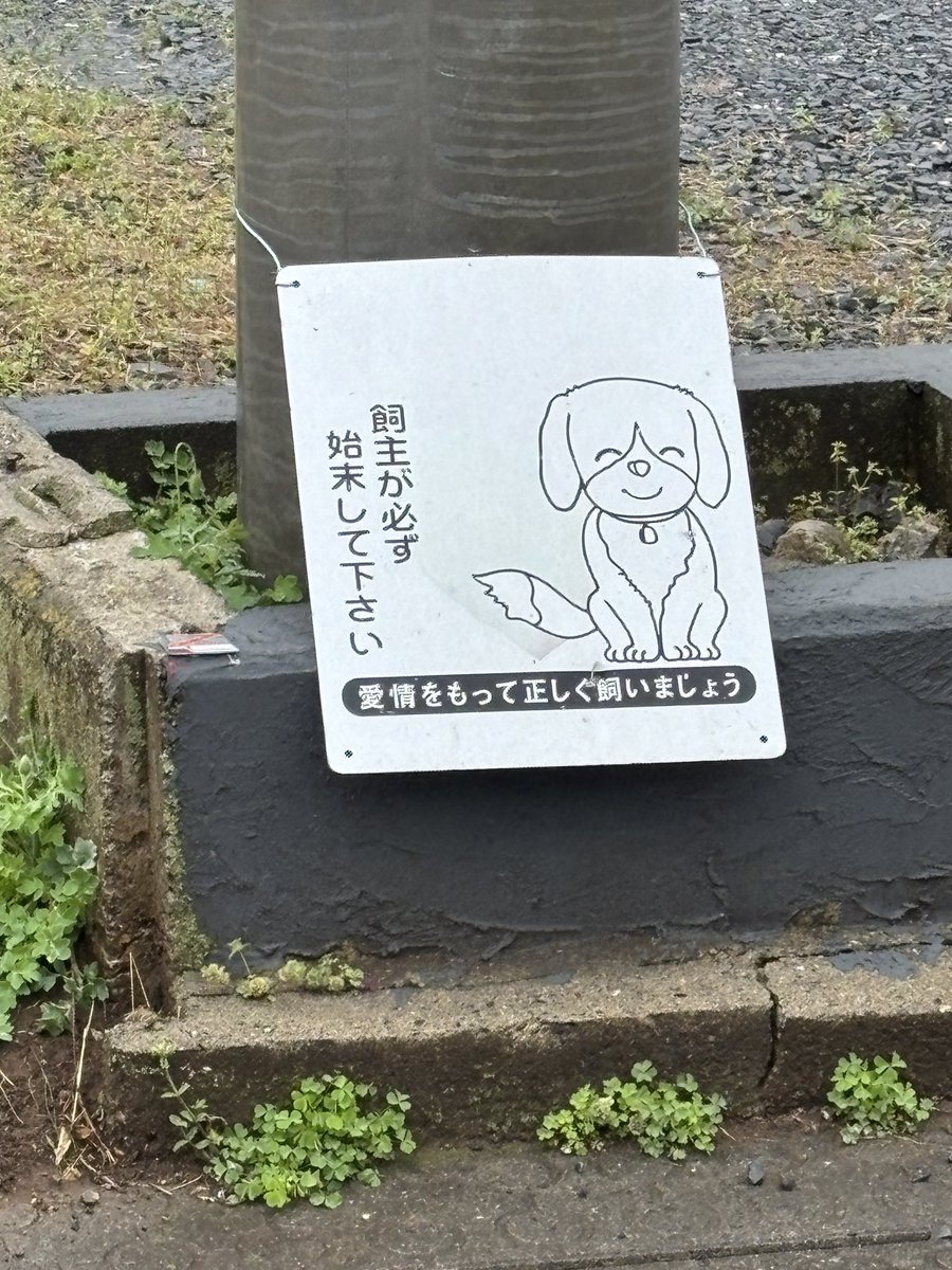 ryammy95's tweet photo. 愛情に始末があってたまるか https://t.co/yFk3qu2Kze