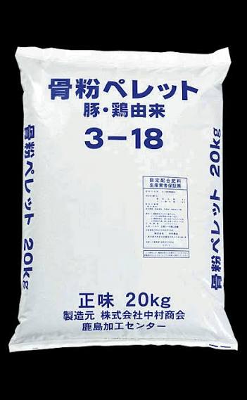 みみ 02 tweet media