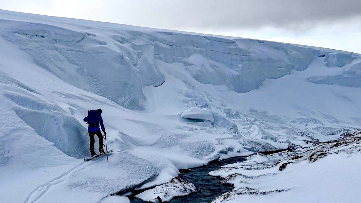 Iain Cameron tweet media