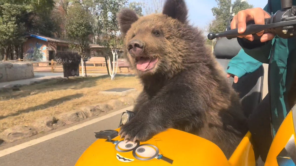 永月弥生 tweet media