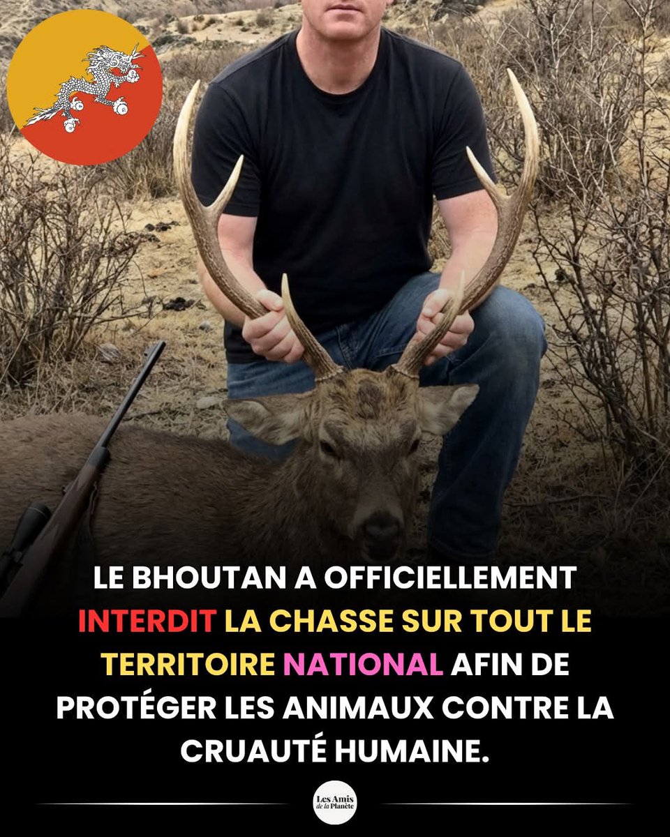 Marilyne Chenuet 🐾 tweet media