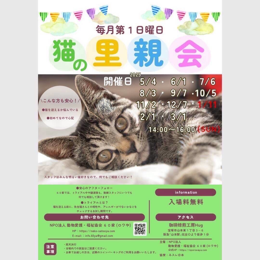 NPO法人 動物愛護・福祉協会60家(ロワや) tweet media
