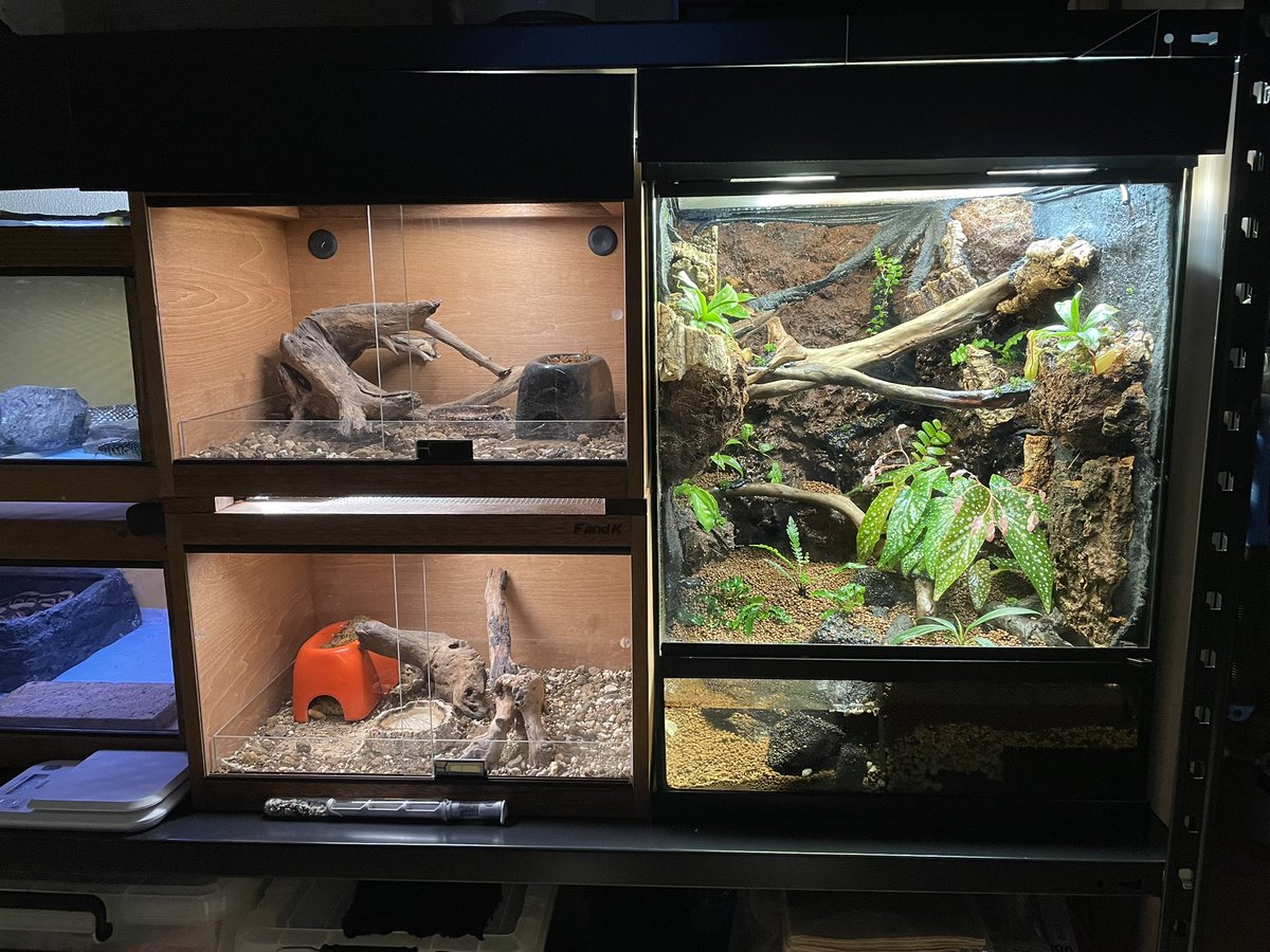 師岡雅史 tweet media