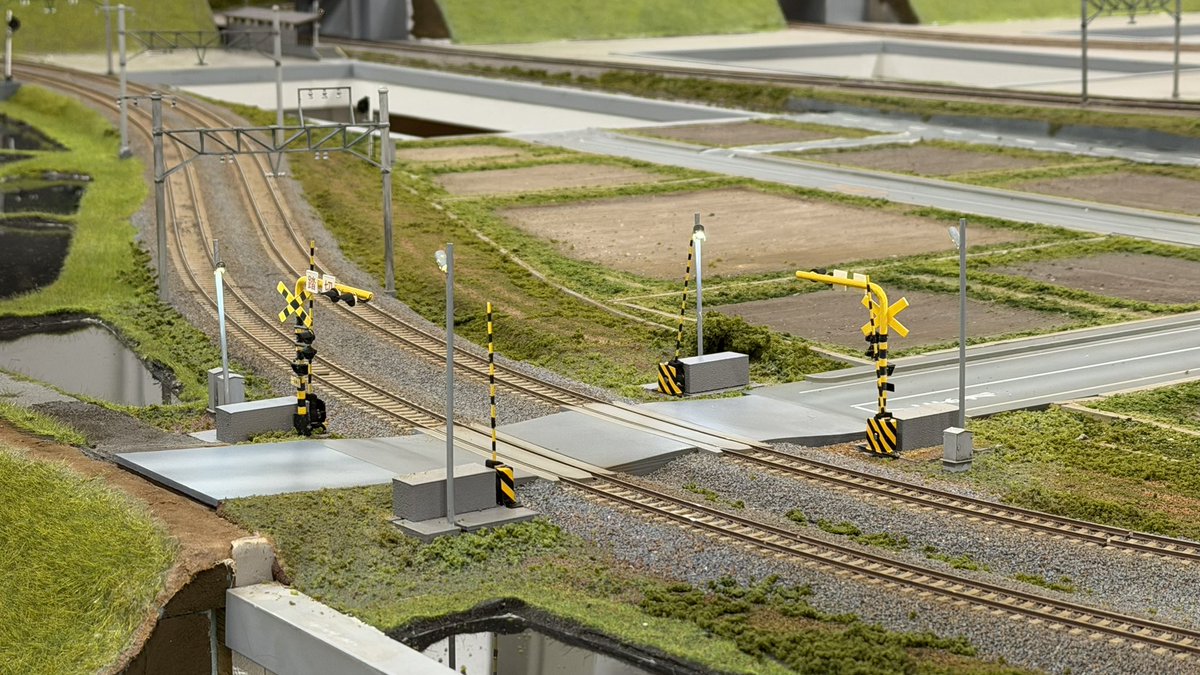 ■ASAMA■【SHINMEIMODEL】 tweet media