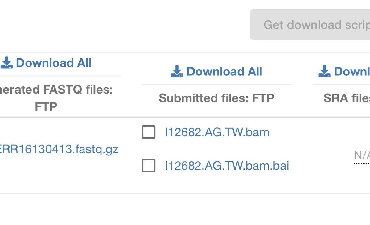 طلال tweet media